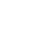 Логотип Adler