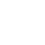 Логотип DeSoto