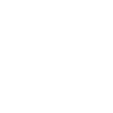 Логотип Dongfeng