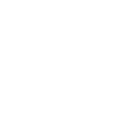 Логотип Flanker