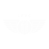 Логотип LEVC