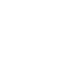 Логотип Pagani