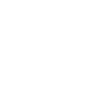 Логотип Rinspeed