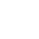 Логотип Ronart