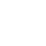 Логотип Scion