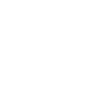 Логотип Wiesmann