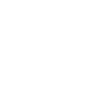 Логотип W Motors