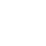 Логотип Xpeng
