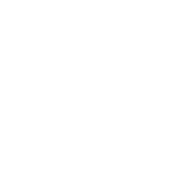 Логотип Zotye